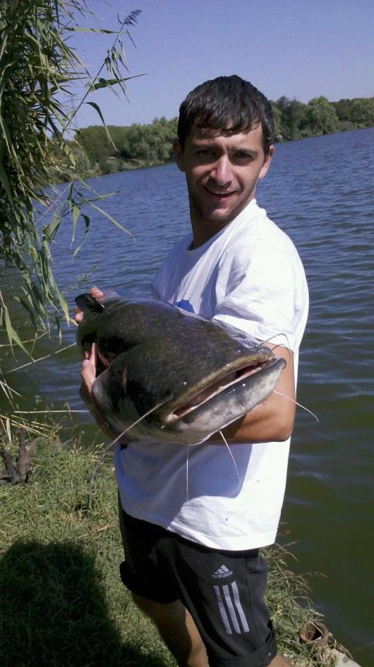 Poze Tancabesti-Avicola 4 31.08-02.09.2012 - 294560521309737894596488795587n.jpg